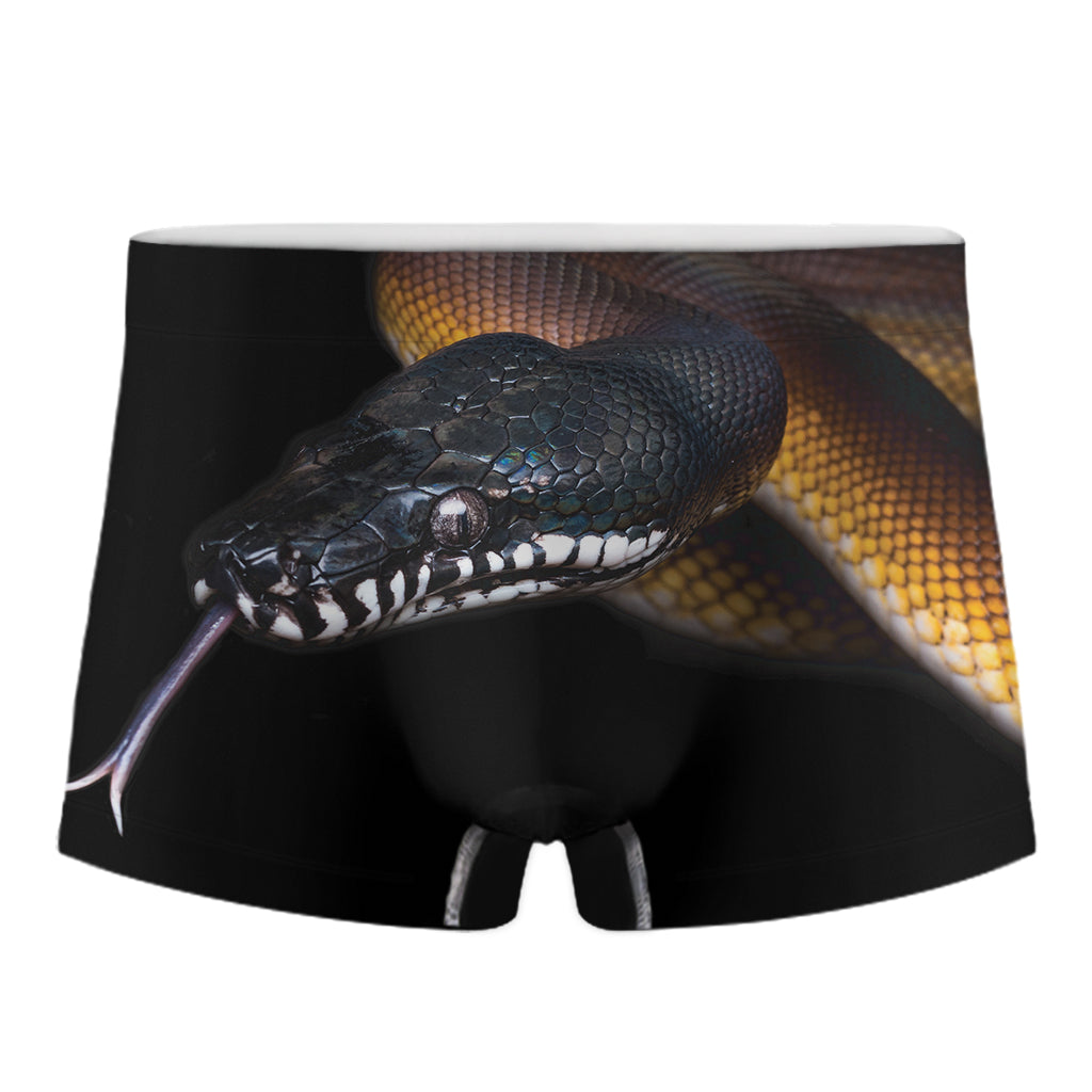 Leiopython Snake Print Men's Boxer Briefs
