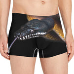Leiopython Snake Print Men's Boxer Briefs