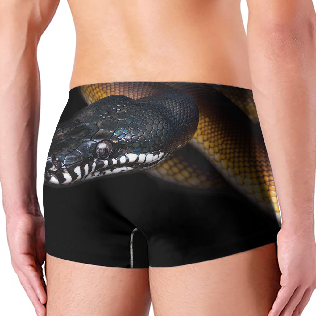Leiopython Snake Print Men's Boxer Briefs