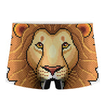 Leo Pixel Print Men's Boxer Briefs