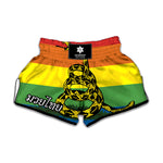 LGBT Rainbow Gadsden Flag Print Muay Thai Boxing Shorts