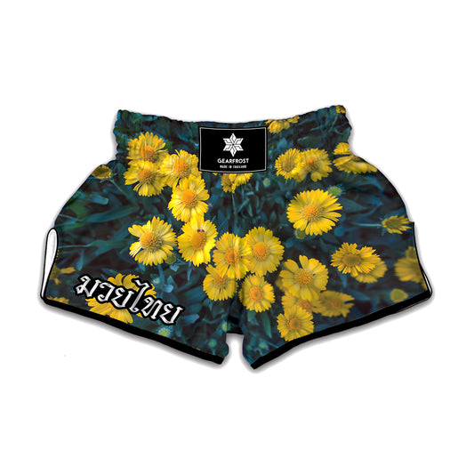 Little Yellow Daisy Print Muay Thai Boxing Shorts