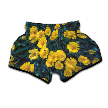 Little Yellow Daisy Print Muay Thai Boxing Shorts