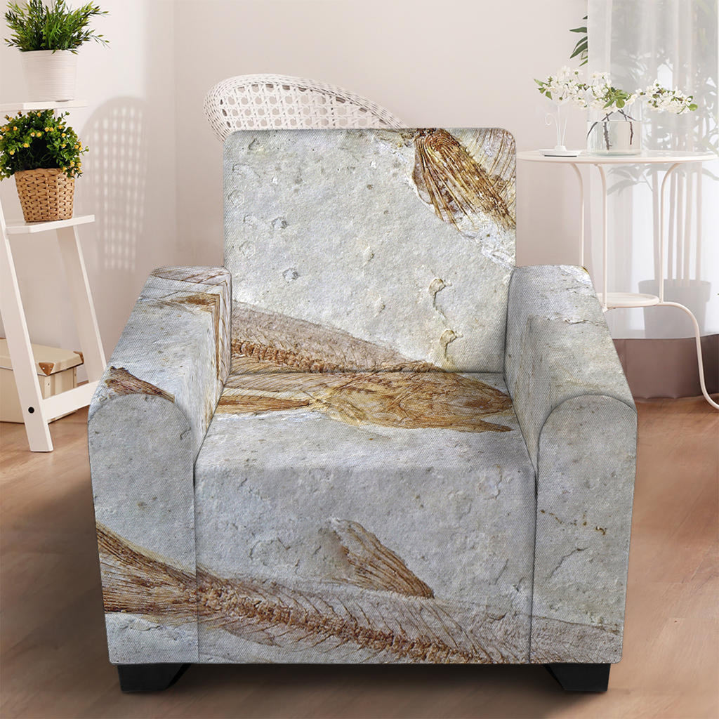 Lycoptera Fish Fossil Print Armchair Slipcover