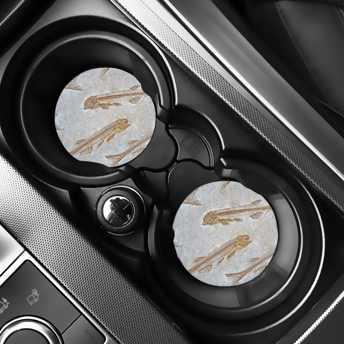 Lycoptera Fish Fossil Print Car Coasters