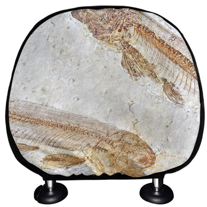 Lycoptera Fish Fossil Print Car Headrest Covers