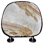 Lycoptera Fish Fossil Print Car Headrest Covers