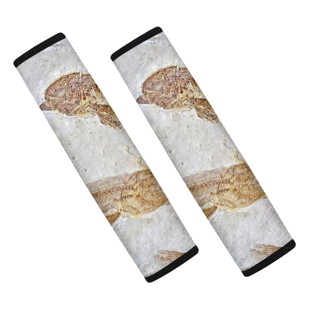 Lycoptera Fish Fossil Print Car Seat Belt Covers