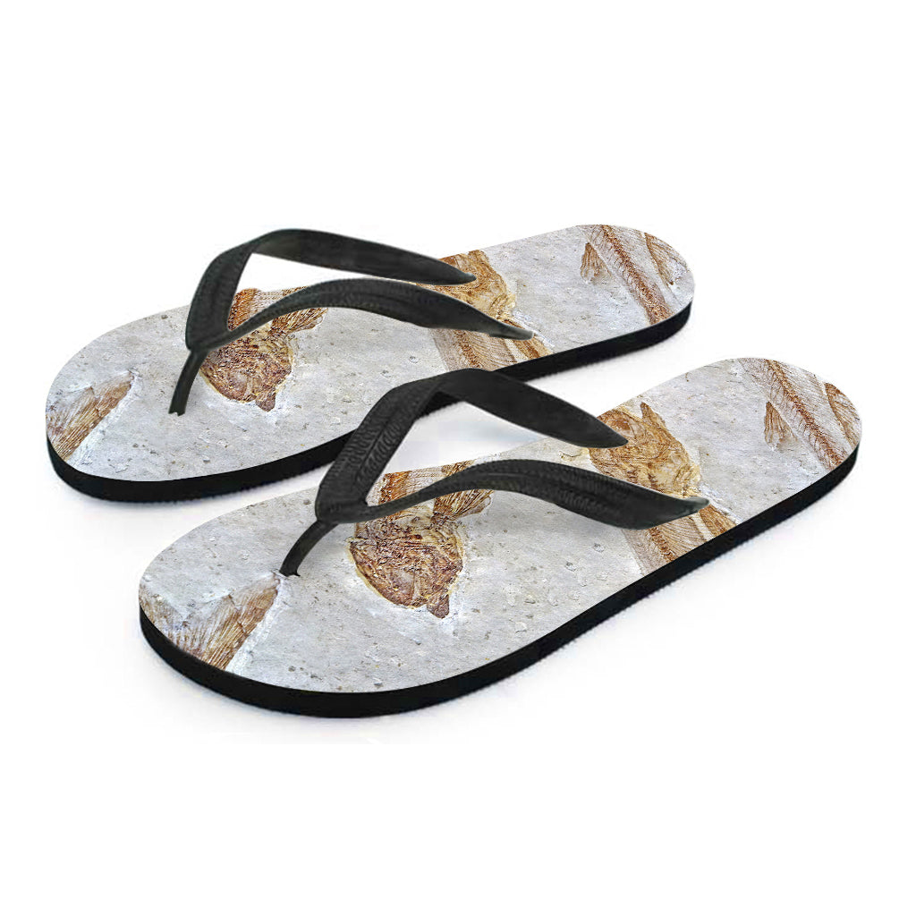 Lycoptera Fish Fossil Print Flip Flops