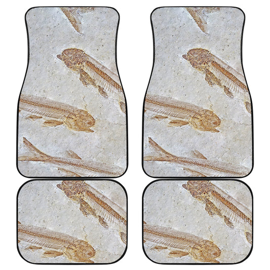 Lycoptera Fish Fossil Print Front and Back Car Floor Mats