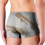 Lycoptera Fish Fossil Print Men's Boxer Briefs