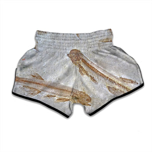 Lycoptera Fish Fossil Print Muay Thai Boxing Shorts