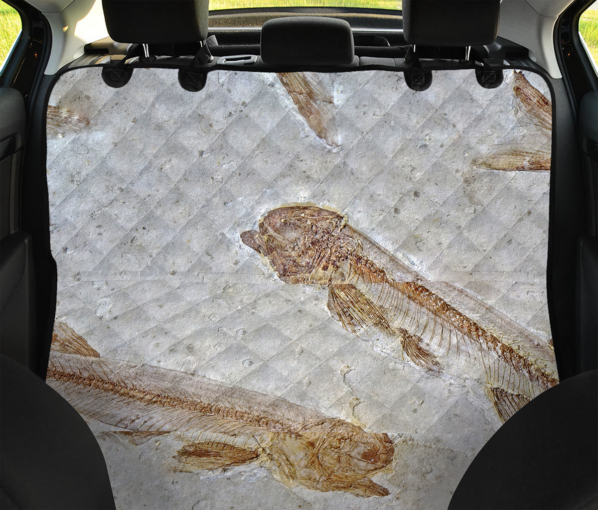 Lycoptera Fish Fossil Print Pet Car Back Seat Cover