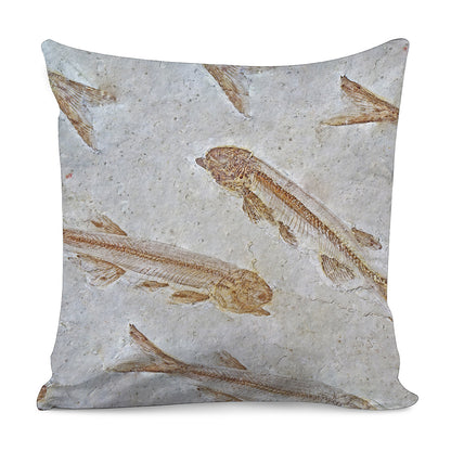 Lycoptera Fish Fossil Print Pillow Cover