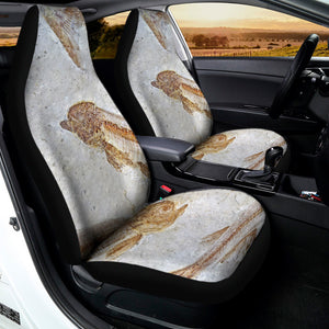 Lycoptera Fish Fossil Print Universal Fit Car Seat Covers