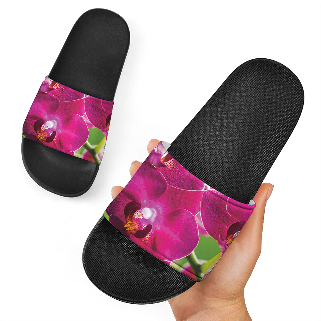 Magenta Orchid Flower Print Black Slide Sandals
