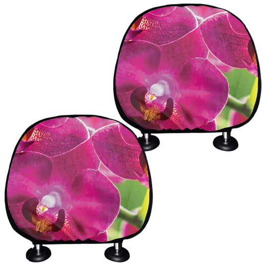 Magenta Orchid Flower Print Car Headrest Covers