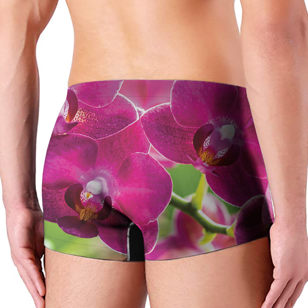 Magenta Orchid Flower Print Men's Boxer Briefs
