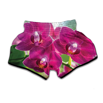 Magenta Orchid Flower Print Muay Thai Boxing Shorts