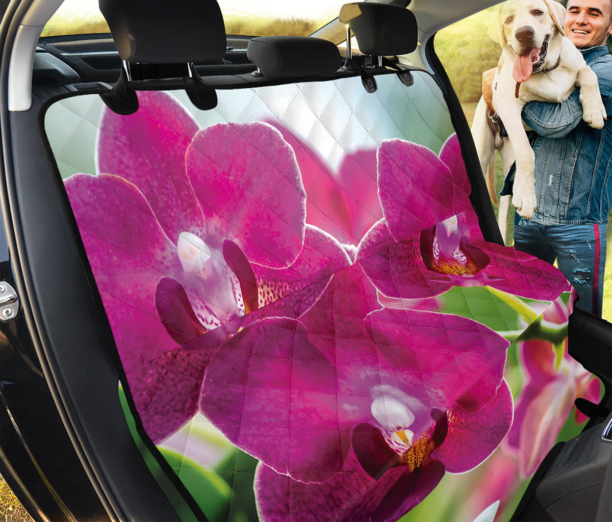 Magenta Orchid Flower Print Pet Car Back Seat Cover
