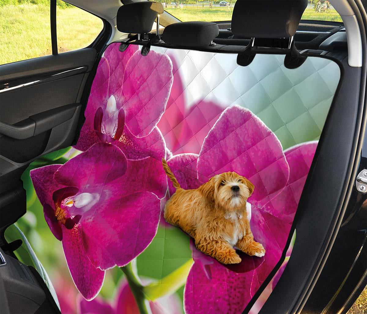 Magenta Orchid Flower Print Pet Car Back Seat Cover
