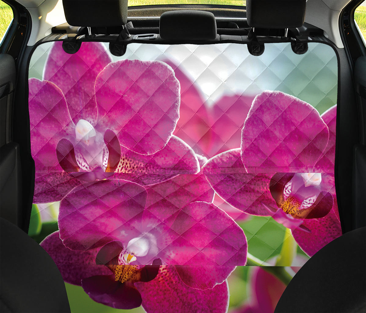 Magenta Orchid Flower Print Pet Car Back Seat Cover