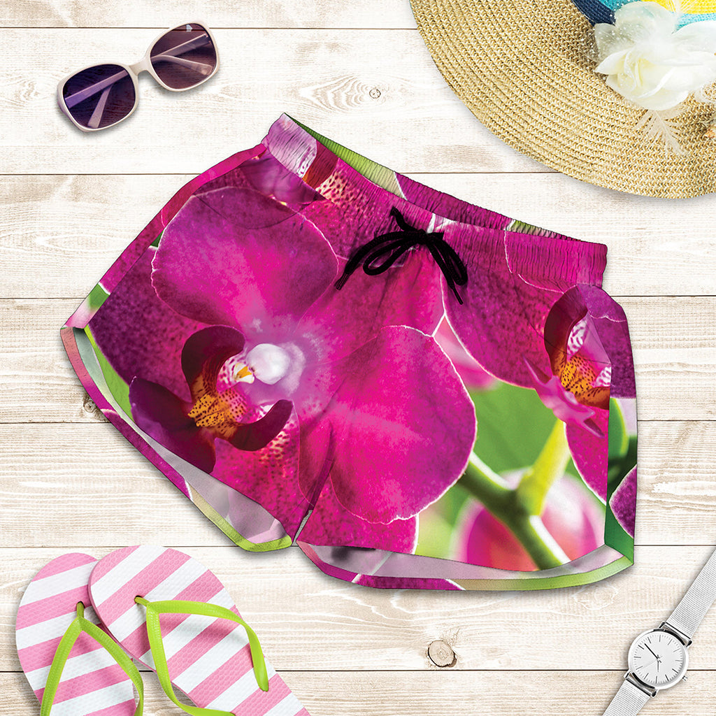 Magenta Orchid Flower Print Women's Shorts