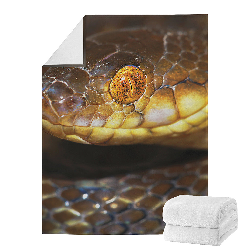 Malagasy Cat Eyed Snake Print Blanket