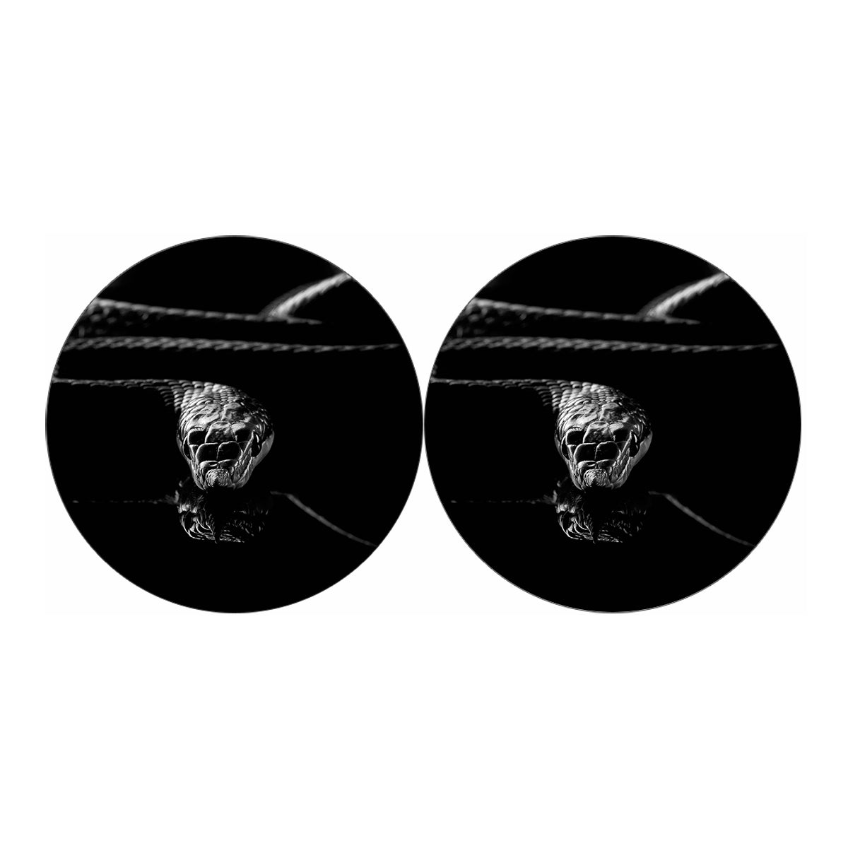 Monochrome Rhinoceros Ratsnake Print Car Coasters