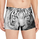Monochrome White Bengal Tiger Print Men's Boxer Briefs