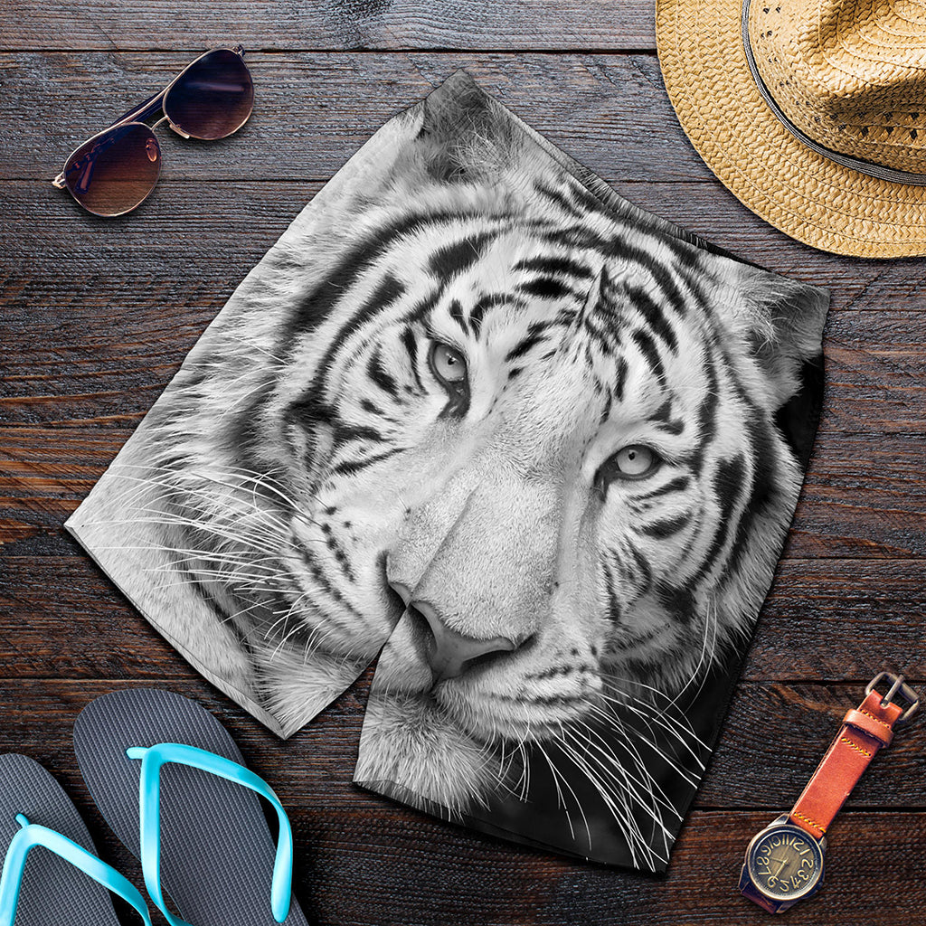 Monochrome White Bengal Tiger Print Men's Shorts