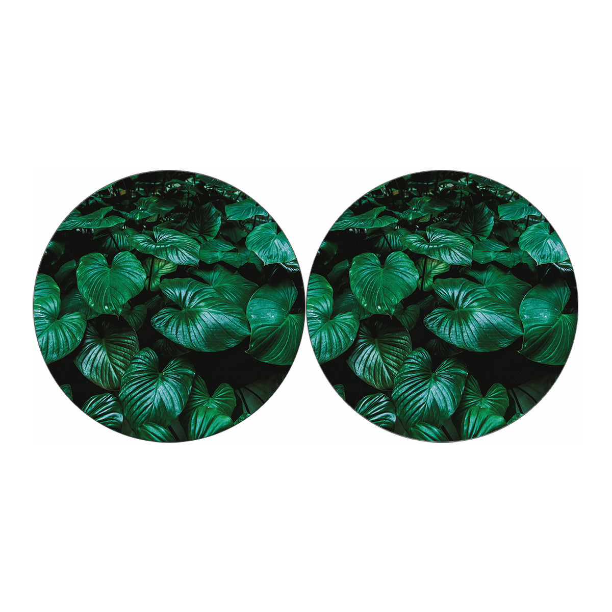 Natural Tropical Leaf Print Car Coasters