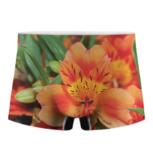 Orange Alstroemeria Print Men's Boxer Briefs