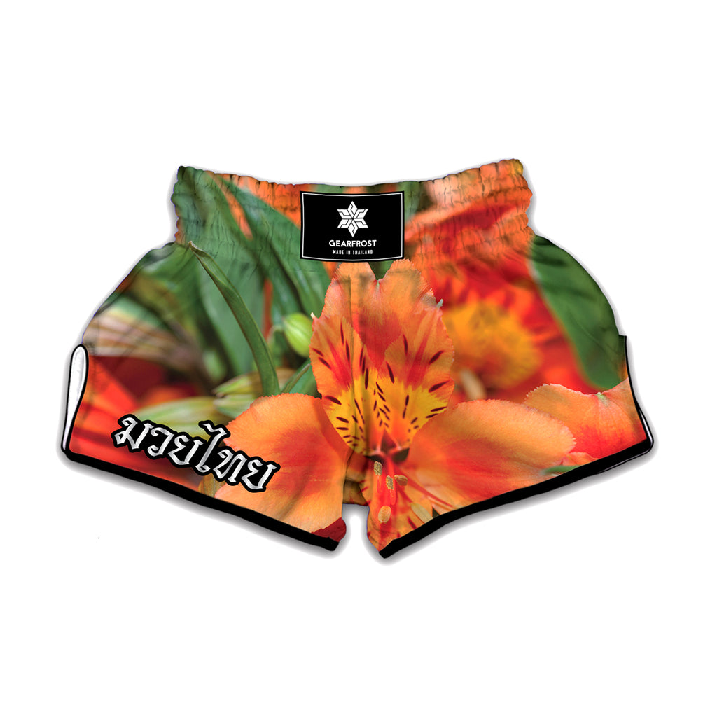 Orange Alstroemeria Print Muay Thai Boxing Shorts