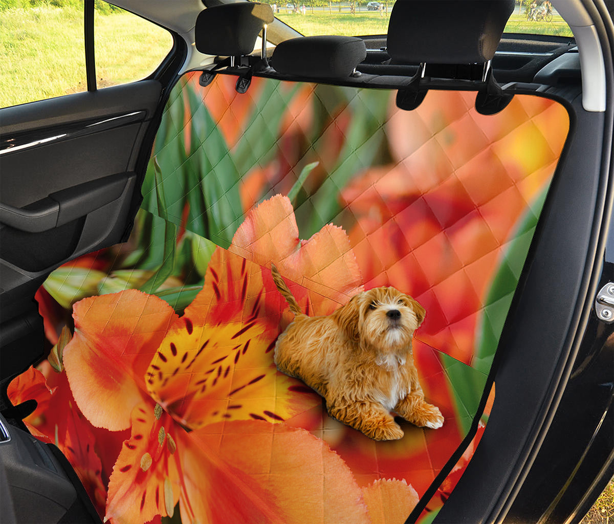 Orange Alstroemeria Print Pet Car Back Seat Cover