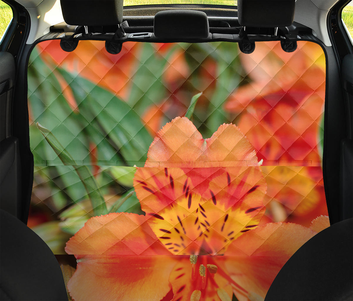 Orange Alstroemeria Print Pet Car Back Seat Cover