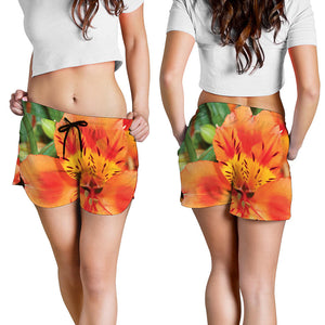 Orange Alstroemeria Print Women's Shorts