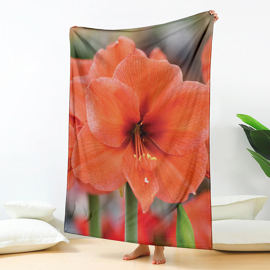 Orange Amaryllis Print Blanket