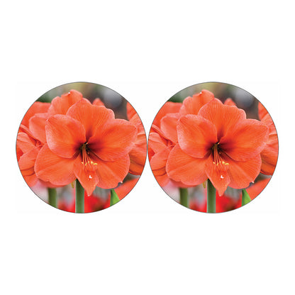 Orange Amaryllis Print Car Coasters