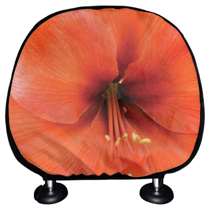 Orange Amaryllis Print Car Headrest Covers