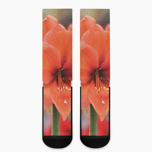 Orange Amaryllis Print Crew Socks