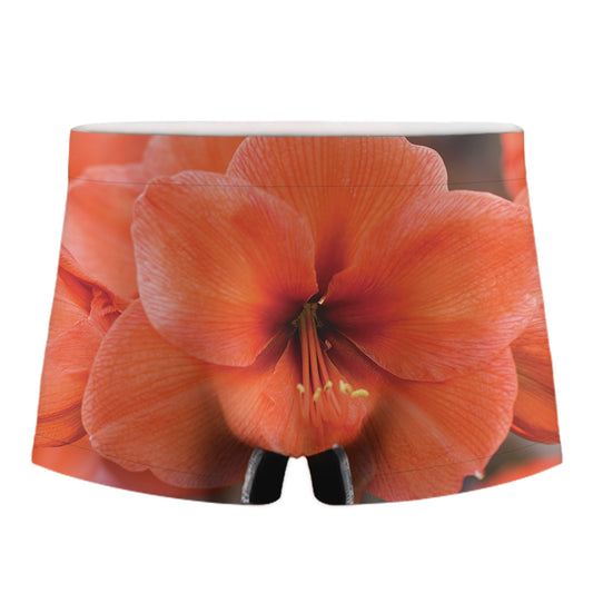Orange Amaryllis Print Men's Boxer Briefs