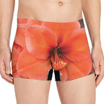 Orange Amaryllis Print Men's Boxer Briefs