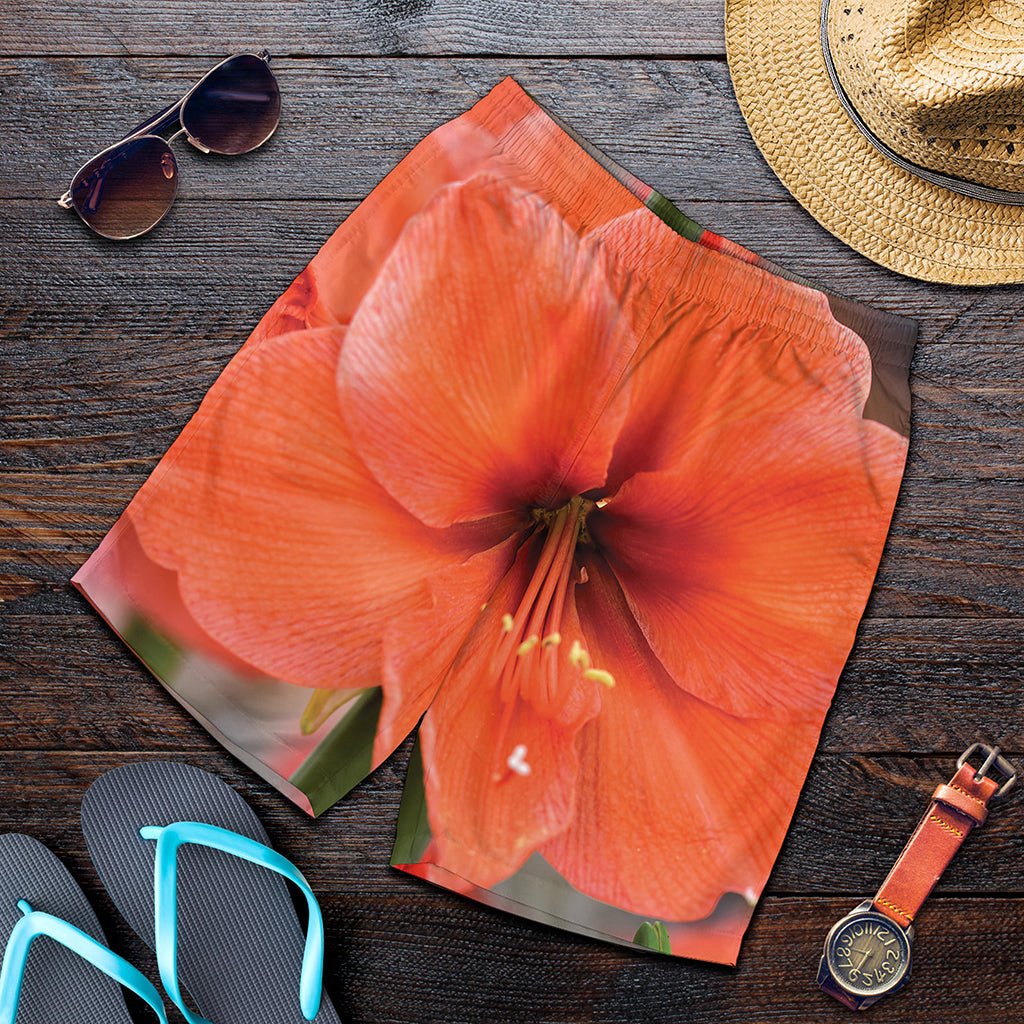 Orange Amaryllis Print Men's Shorts