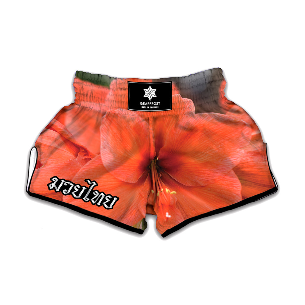 Orange Amaryllis Print Muay Thai Boxing Shorts