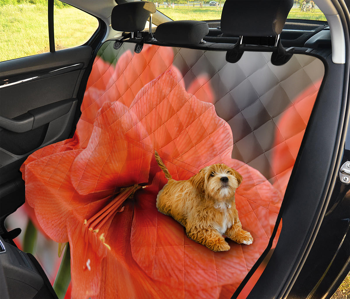 Orange Amaryllis Print Pet Car Back Seat Cover