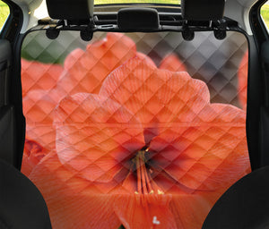 Orange Amaryllis Print Pet Car Back Seat Cover