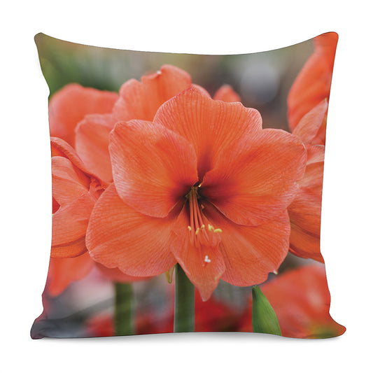 Orange Amaryllis Print Pillow Cover