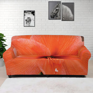 Orange Amaryllis Print Sofa Cover