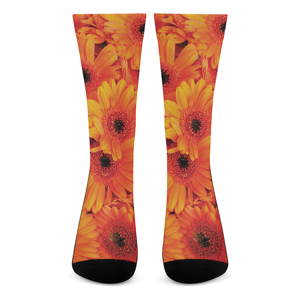 Orange Daisy Flower Print Crew Socks